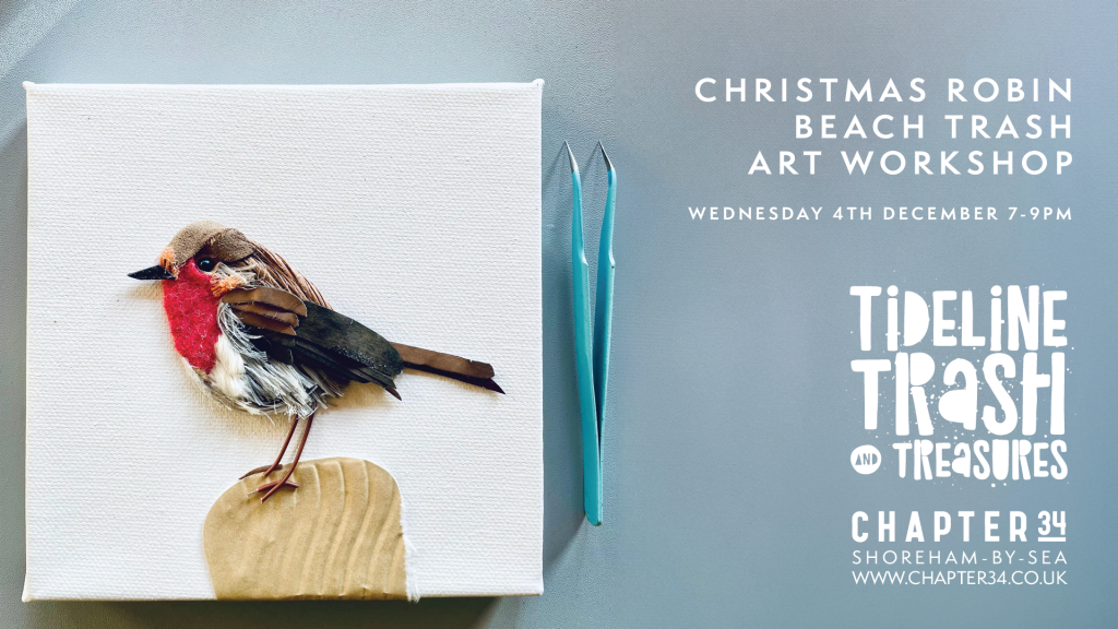 Christmas robin beach trash art workshop